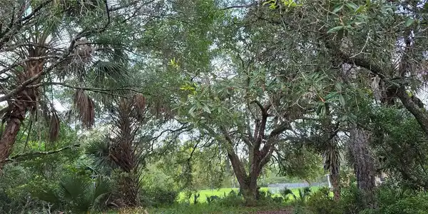 Image 4 Image 4