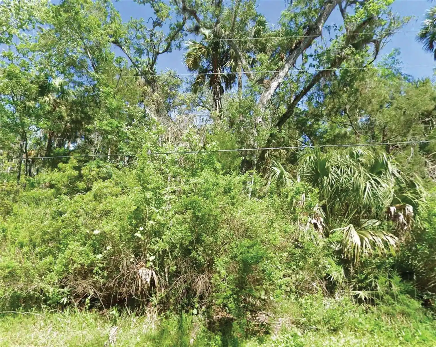 Image 1 Image 1