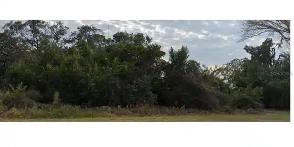 Image 4 Image 4