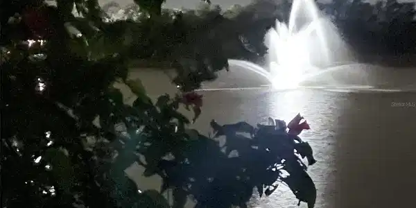 Image 3 Image 3