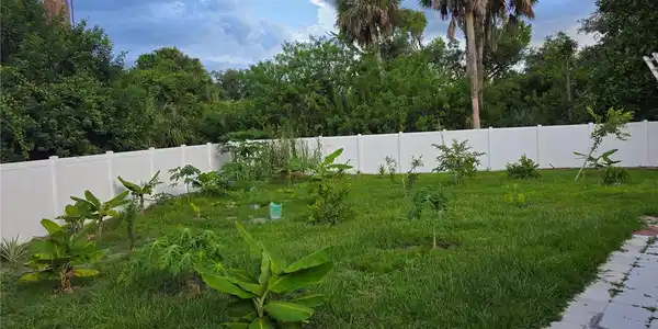 Image 3 Image 3