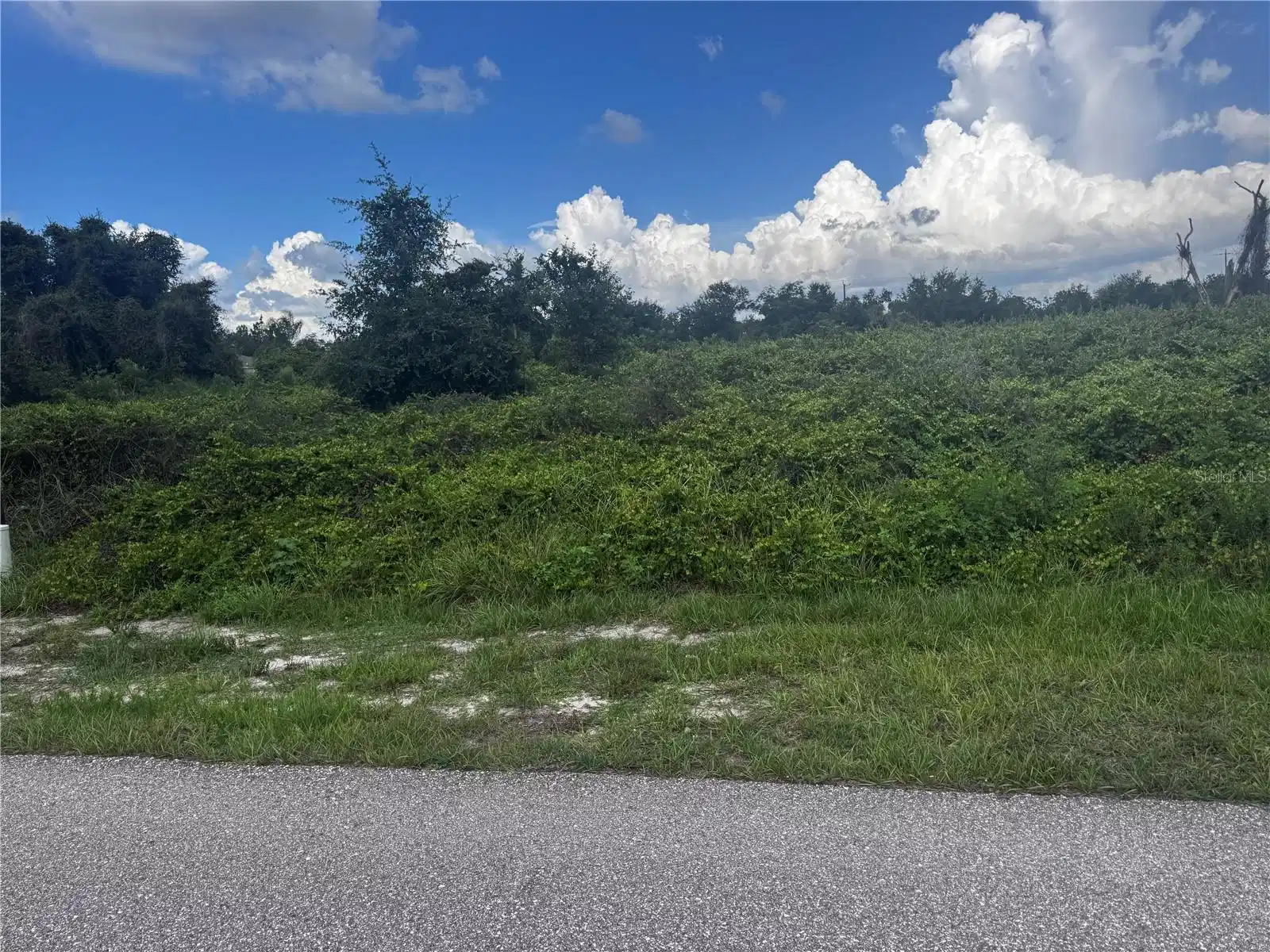 Image 1 Image 1