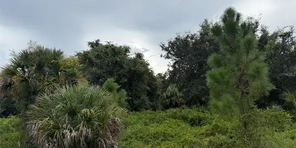 Image 3 Image 3