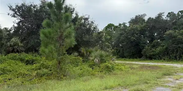 Image 4 Image 4