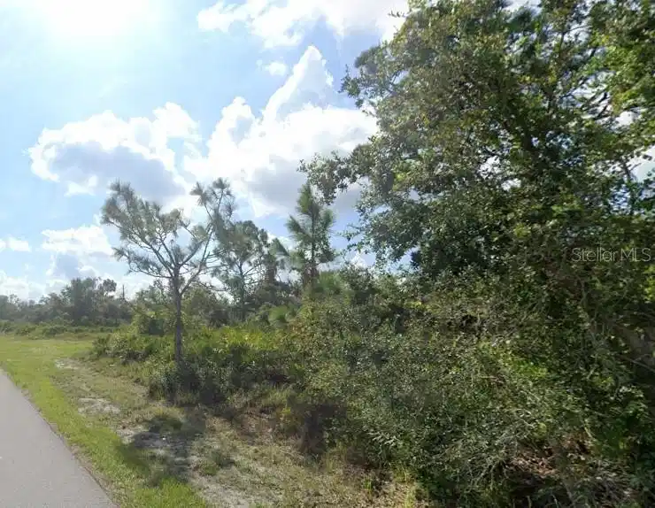 Image 1 Image 1