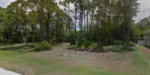 Image 4 Image 4