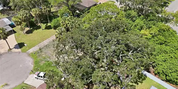 Image 4 Image 4