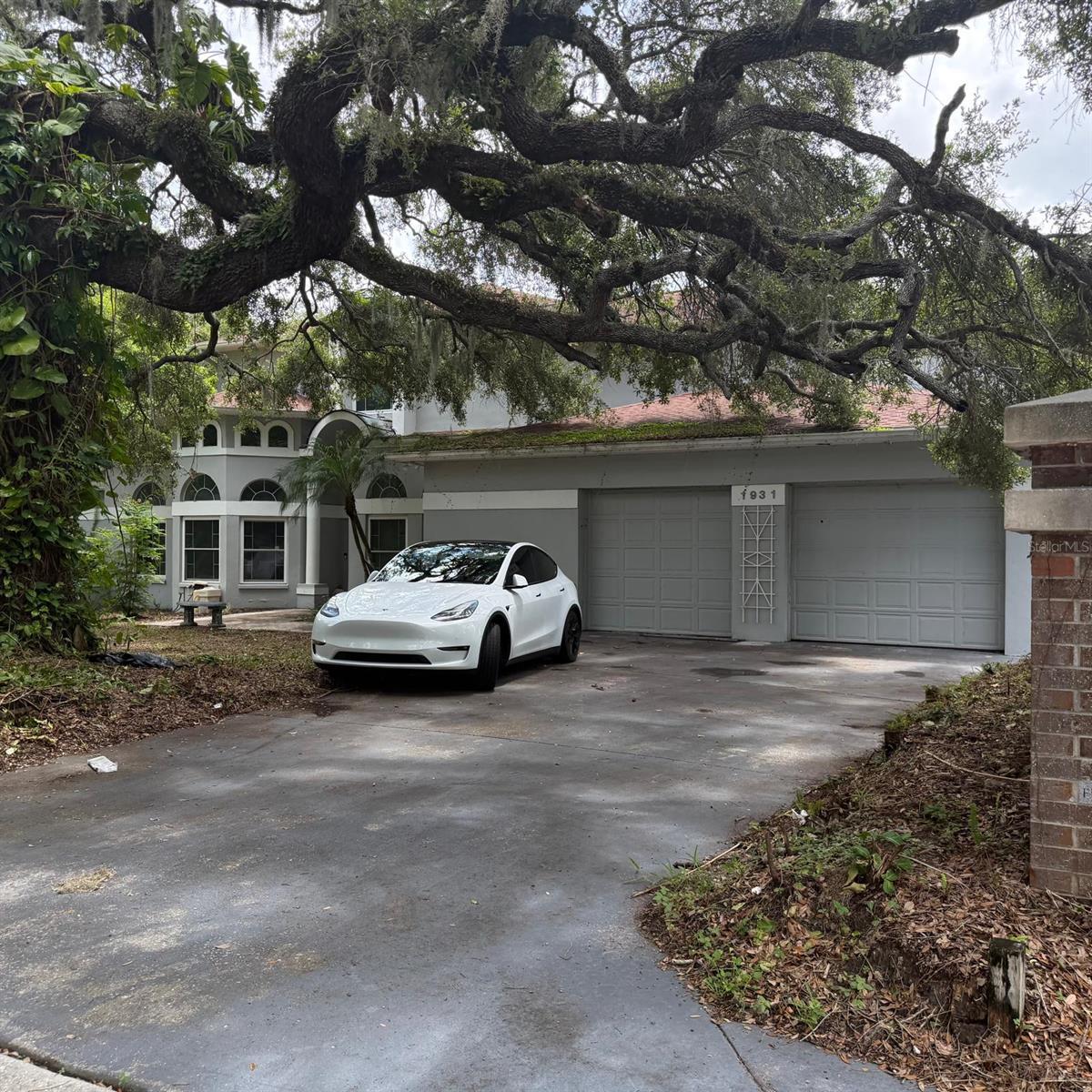 Image 1 Image 1