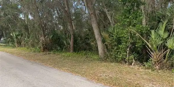 Image 4 Image 4