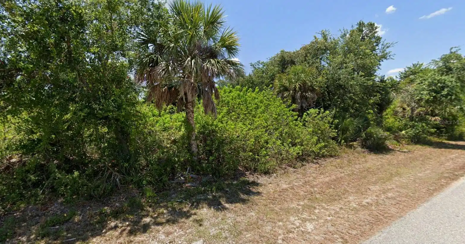 Image 1 Image 1