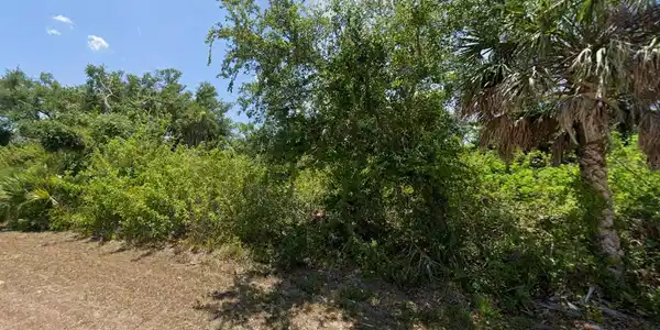 Image 2 Image 2
