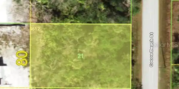 Image 4 Image 4