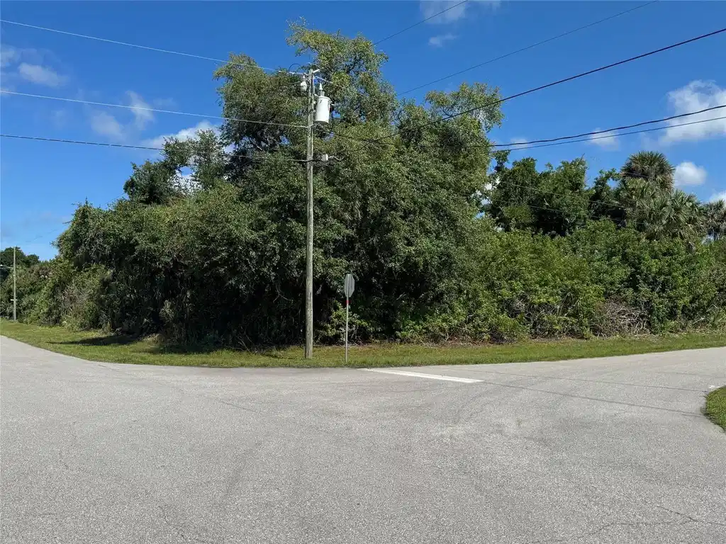 Image 1 Image 1
