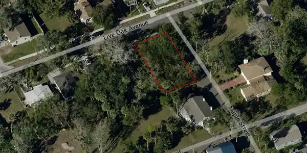 547 LIVE OAK AVENUE