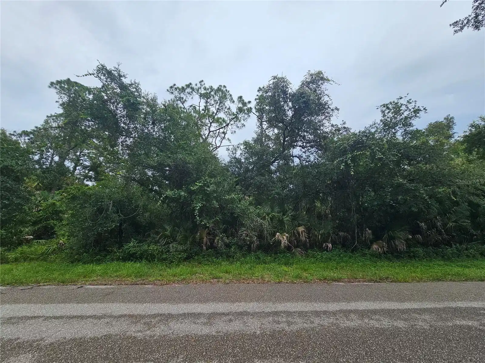 Image 1 Image 1