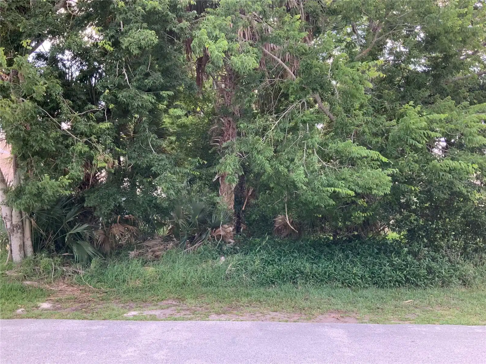 Image 1 Image 1