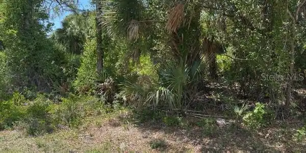 Image 4 Image 4