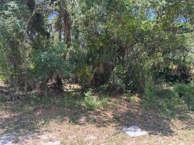 Image 1 Image 1