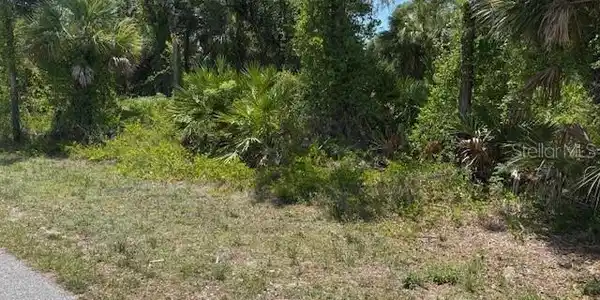 Image 3 Image 3