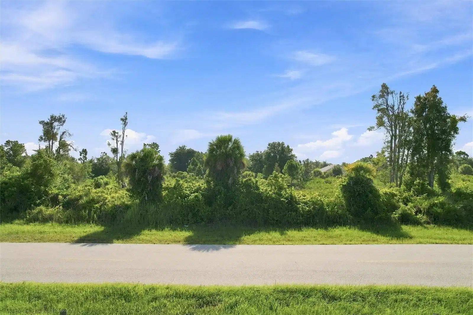 Image 1 Image 1