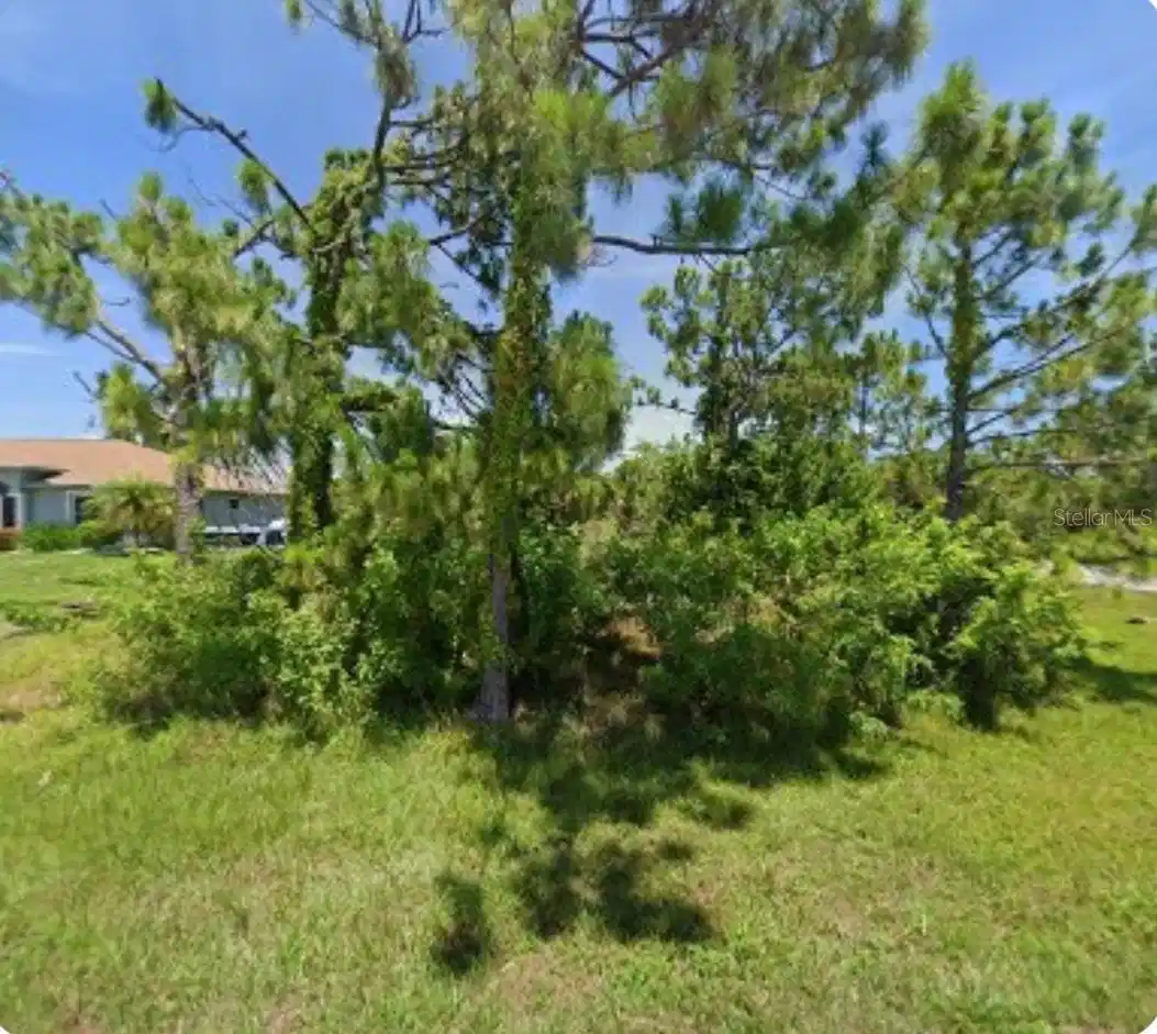 Image 1 Image 1