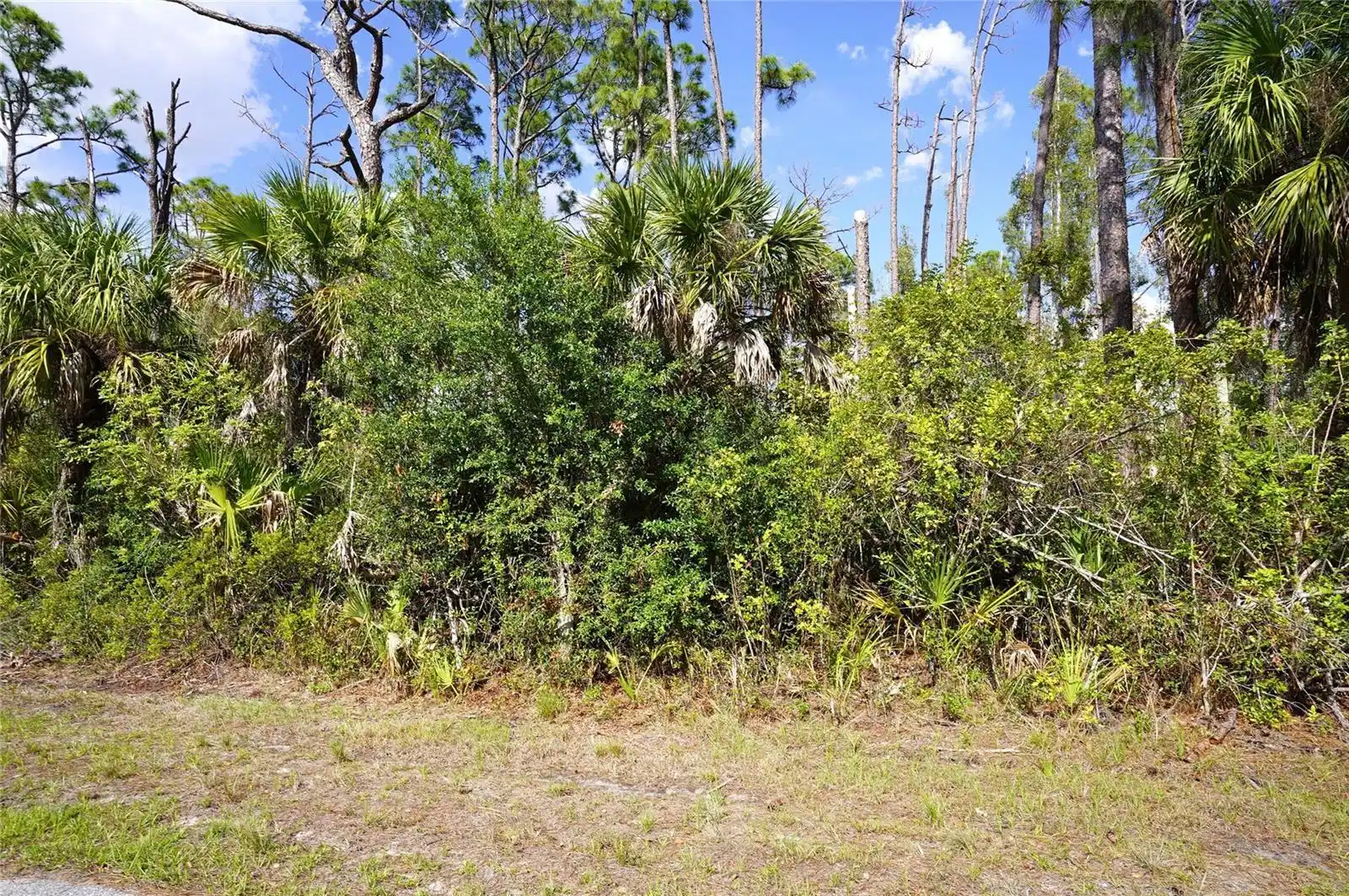 Image 1 Image 1
