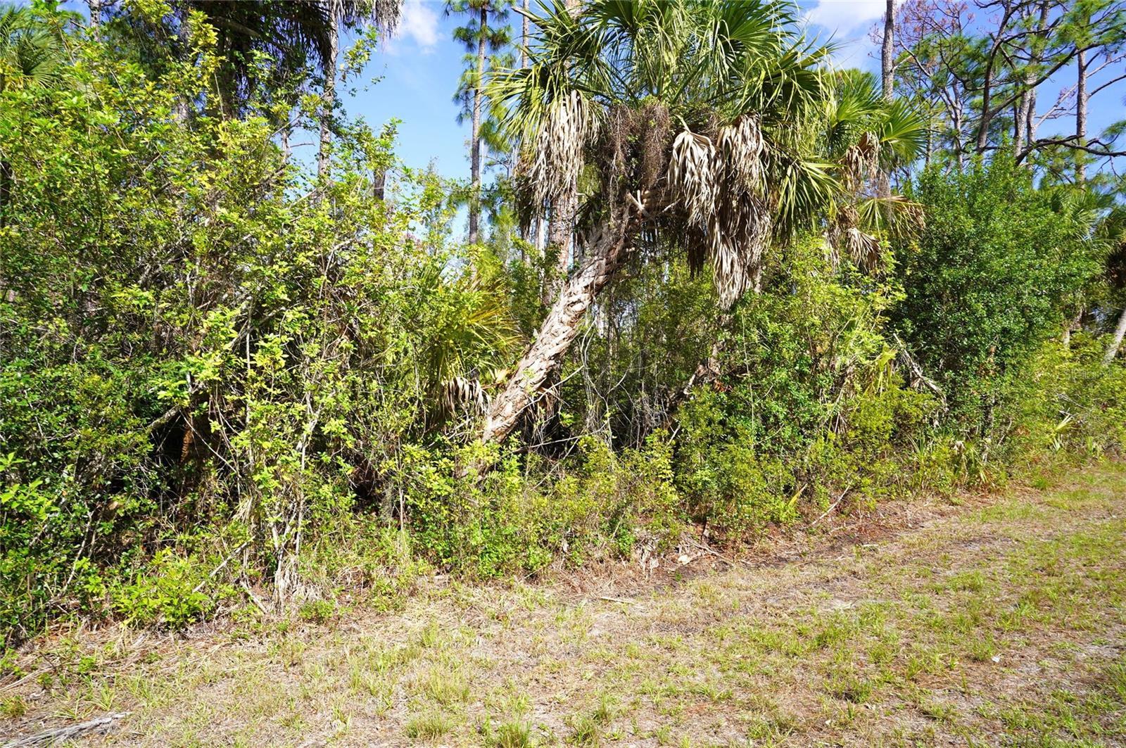 Image 3 Image 3