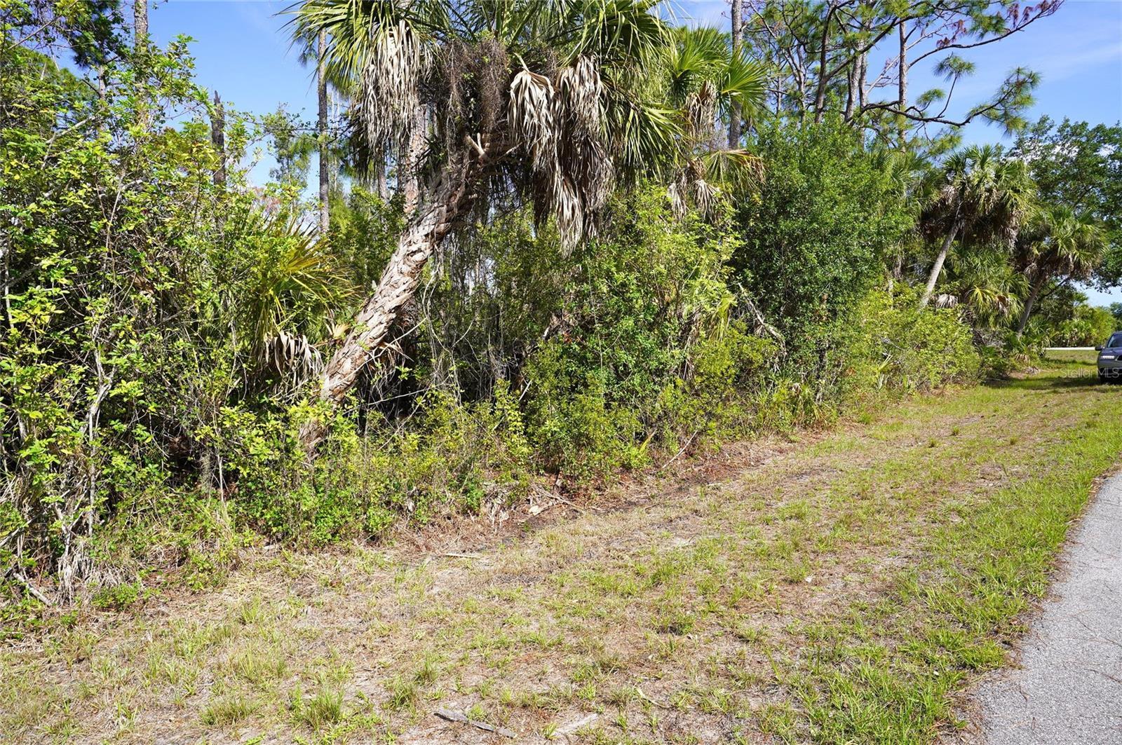 Image 4 Image 4