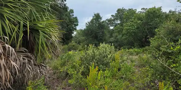 Image 4 Image 4