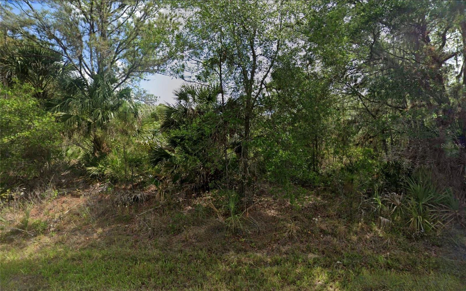 Image 2 Image 2