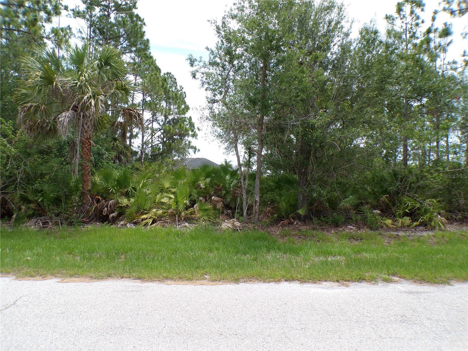Image 1 Image 1