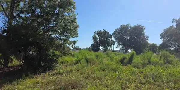 Image 3 Image 3