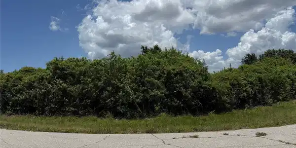Image 4 Image 4