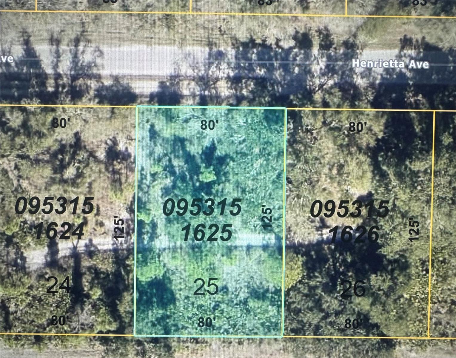 Image 1 Image 1