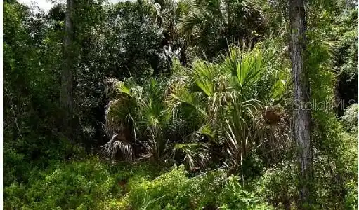 Image 2 Image 2