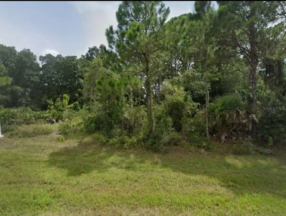 Image 1 Image 1