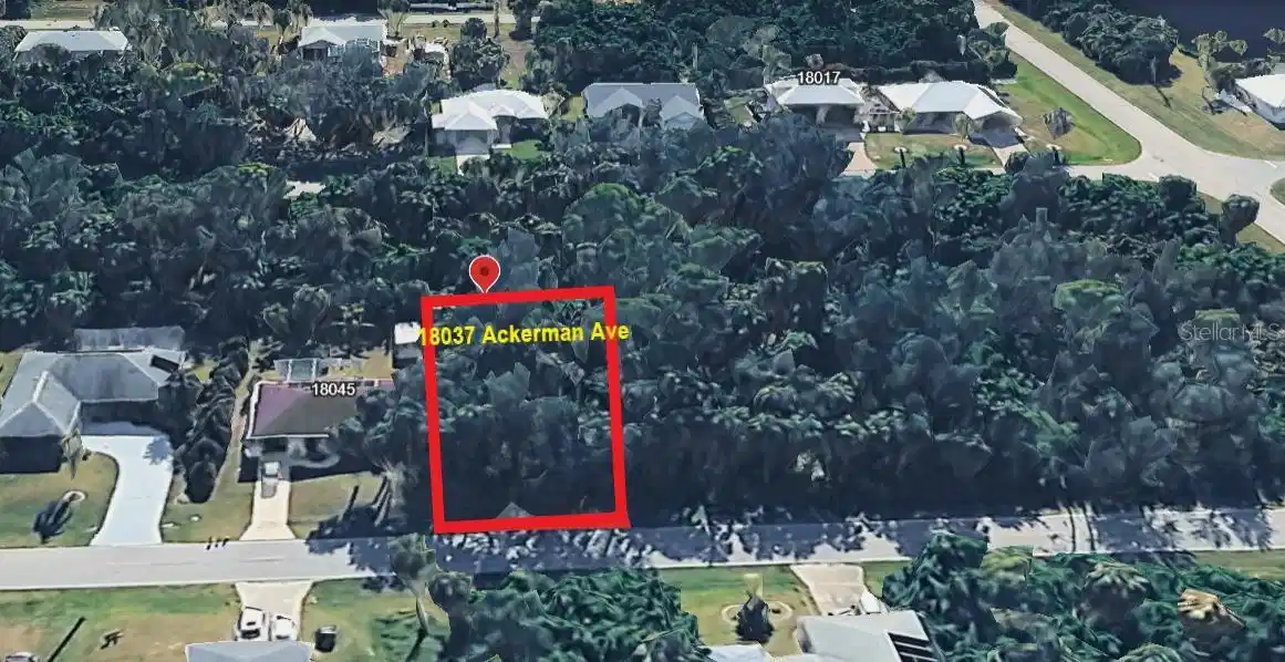 Image 1 Image 1
