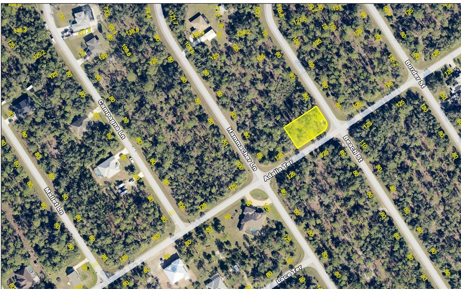 Image 4 Image 4
