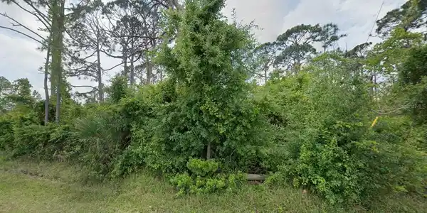 Image 3 Image 3