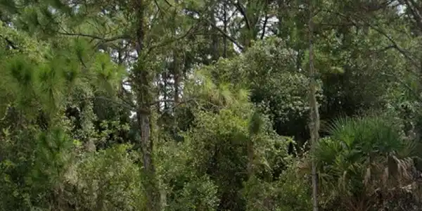 Image 2 Image 2