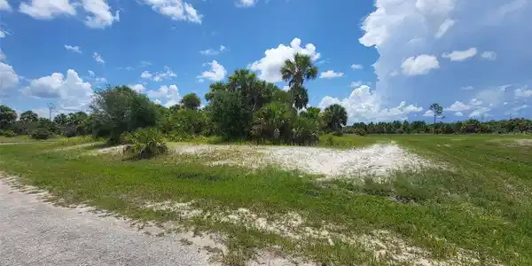 Image 4 Image 4