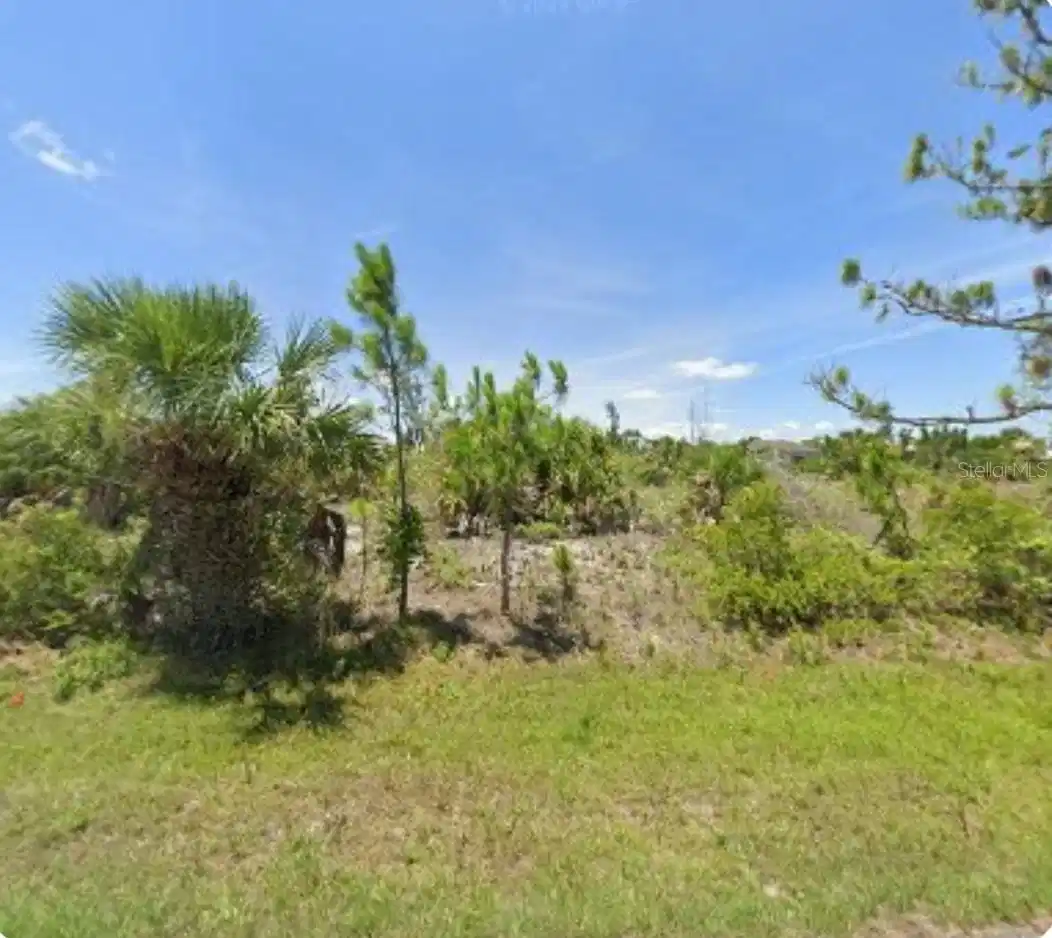 Image 1 Image 1