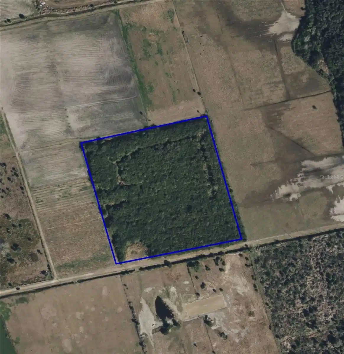 Image 1 Image 1