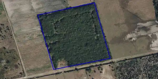 Image 4 Image 4