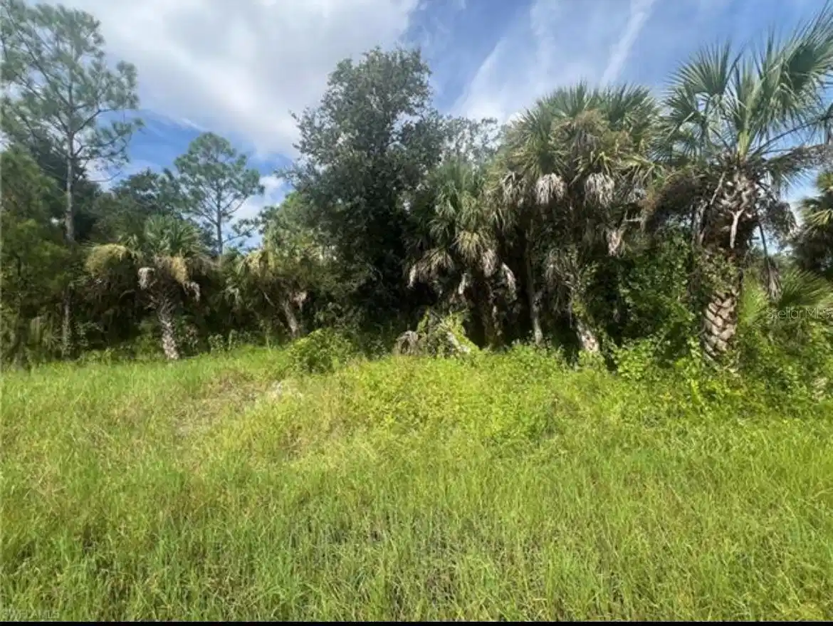 Image 1 Image 1