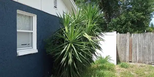 Image 4 Image 4