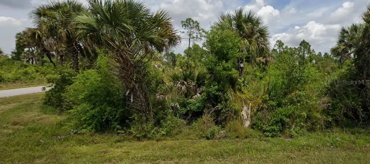 Image 1 Image 1