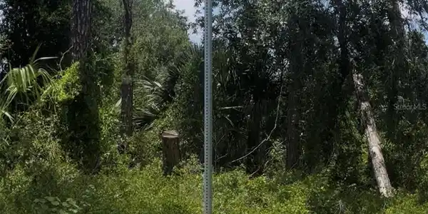 Image 3 Image 3