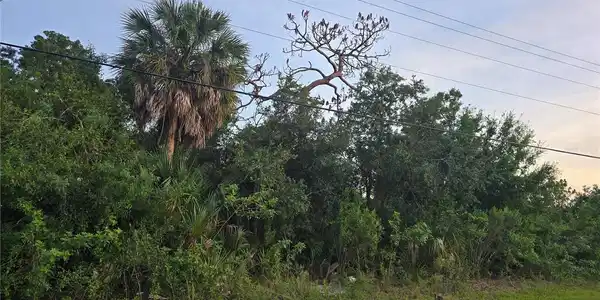 Image 3 Image 3