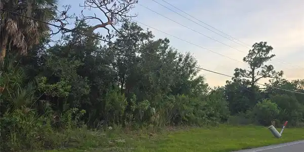 Image 4 Image 4